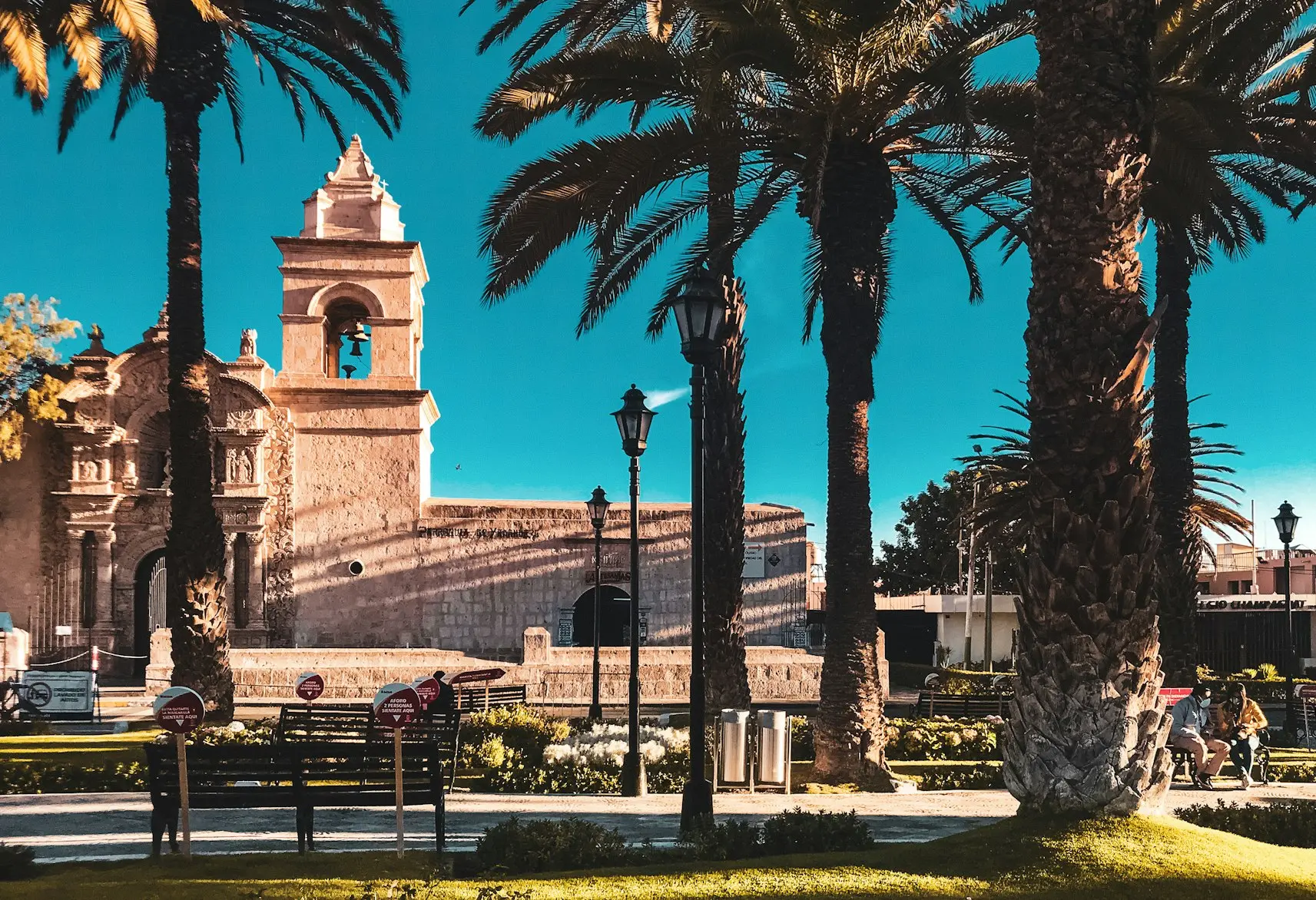 palm trees in front of a building with a clock tower